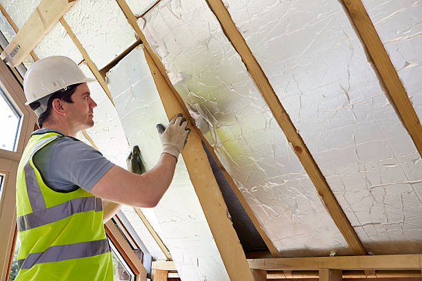 Best Insulation Inspection Services  in North Tunica, MS