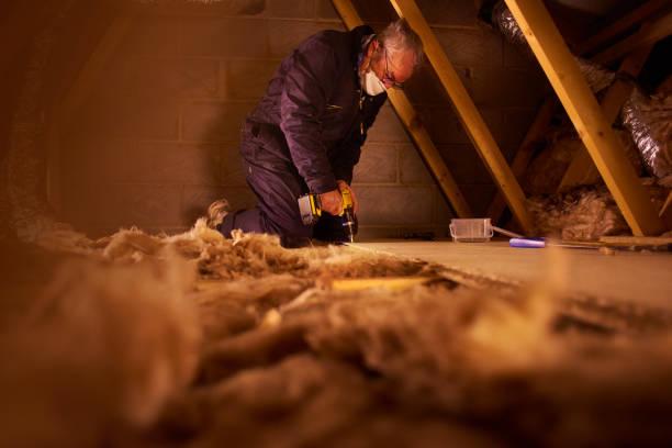 Best Insulation Removal Services  in North Tunica, MS