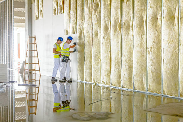 Best Attic Insulation Near Me  in North Tunica, MS
